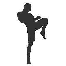 เพชรเอก ศิษย์นมล